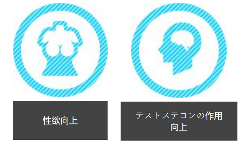 Titan Gel 実際の結果